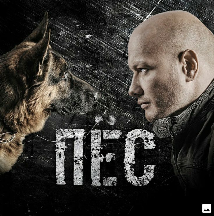 Пёс (сериал, 2015) 1-7 сезон смотреть онлайн на Лордфильм